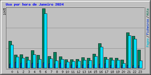 Uso por hora de Janeiro 2024